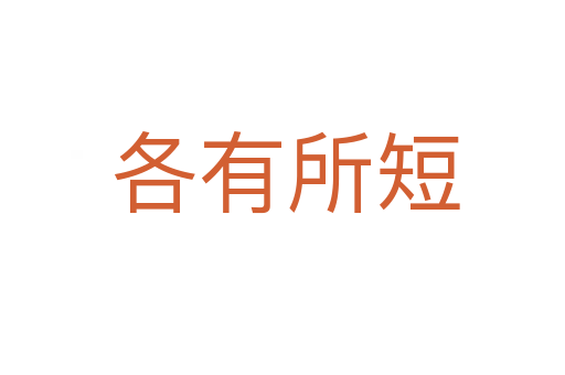 各有所短