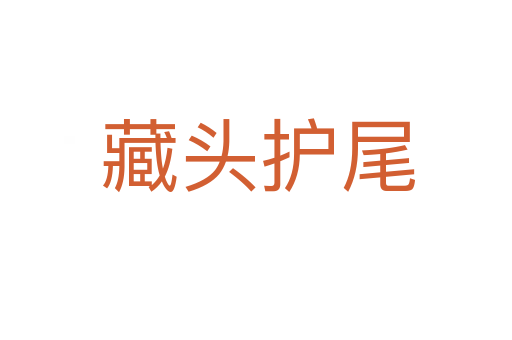 藏头护尾