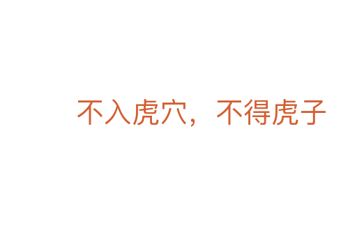 不入虎穴,不得虎子