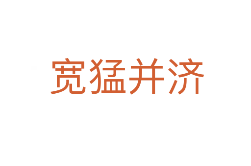 宽猛并济