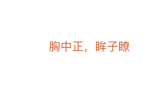 胸中正,眸子瞭