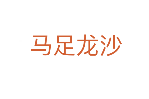 马足龙沙