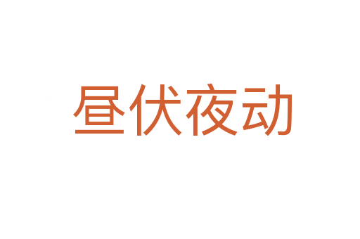 昼伏夜动