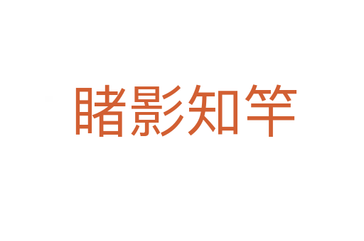 睹影知竿