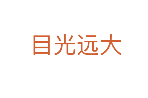 目光远大