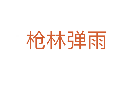 枪林弹雨