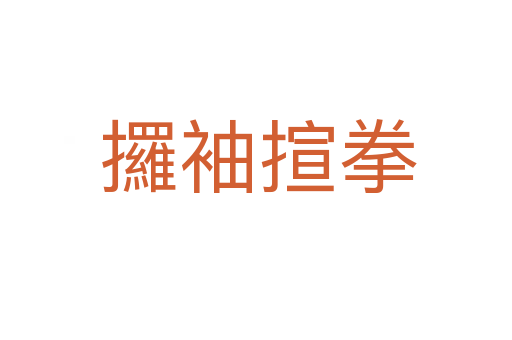 攞袖揎拳