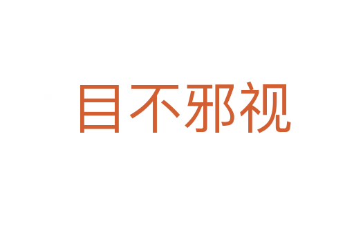 目不邪视