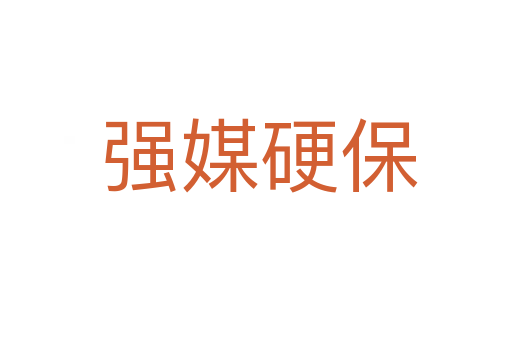 强媒硬保