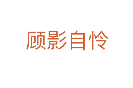 顾影自怜