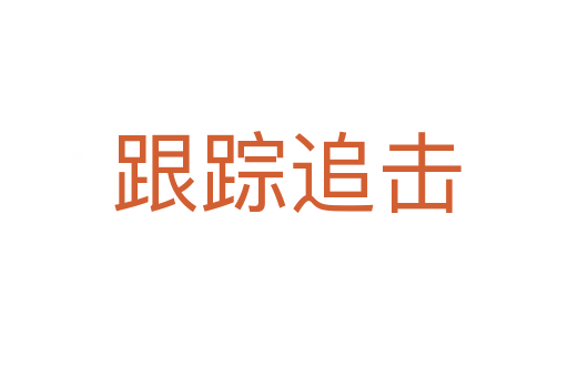跟踪追击