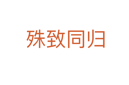 殊致同归