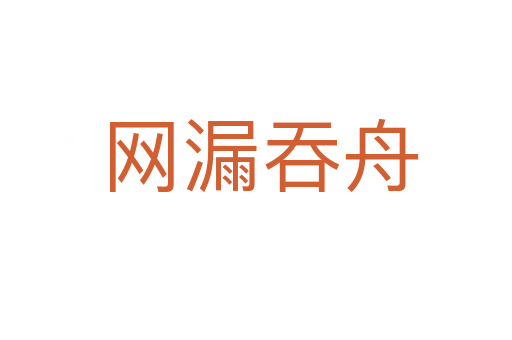 网漏吞舟