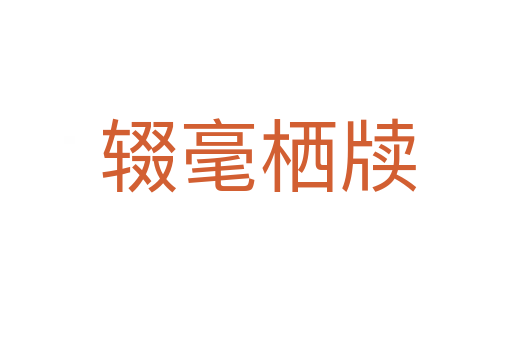 辍毫栖牍