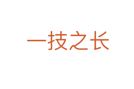 一技之长