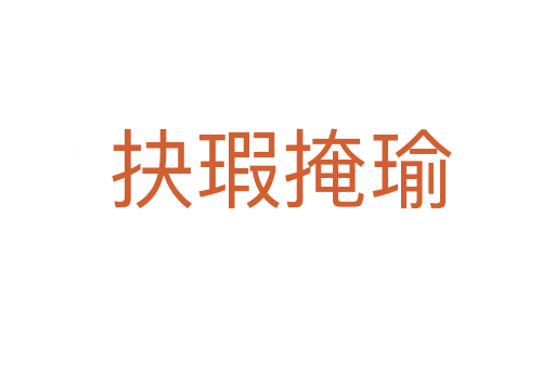抉瑕掩瑜