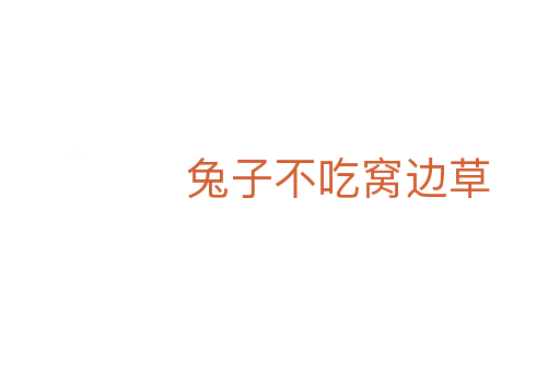兔子不吃窝边草
