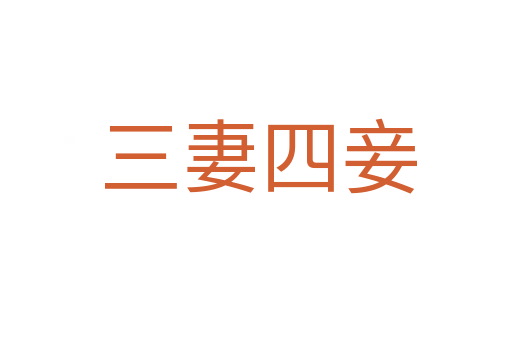 三妻四妾