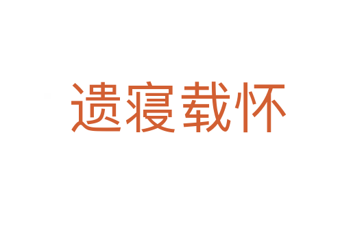 遗寝载怀