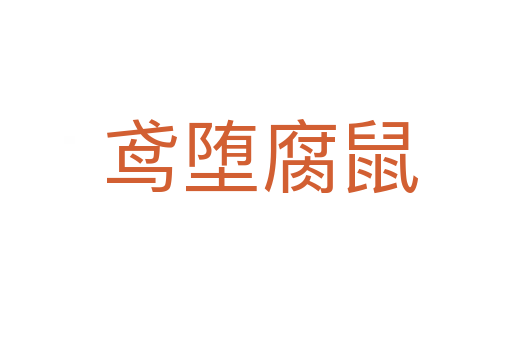 鸢堕腐鼠