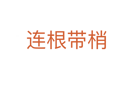 连根带梢