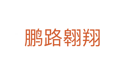 鹏路翱翔