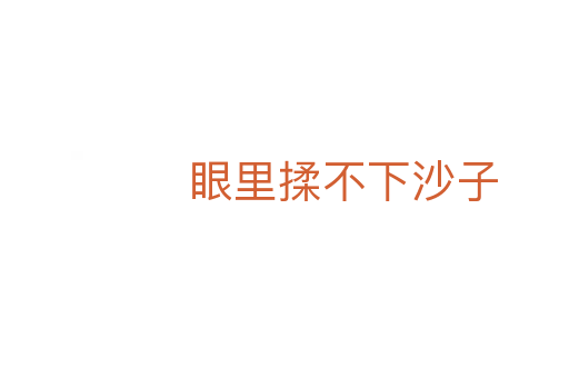 眼里揉不下沙子