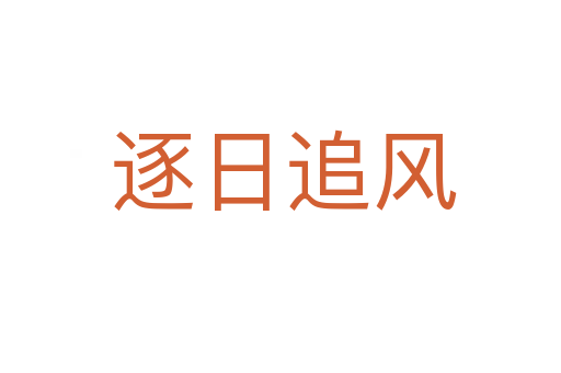 逐日追风