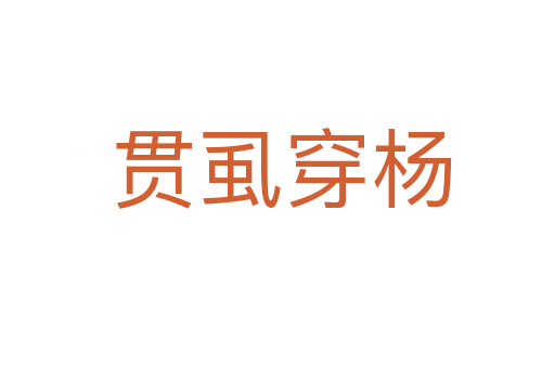 贯虱穿杨