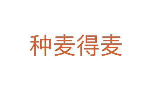 种麦得麦