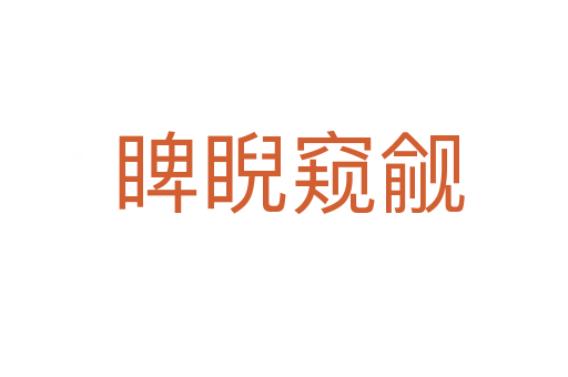 睥睨窥觎