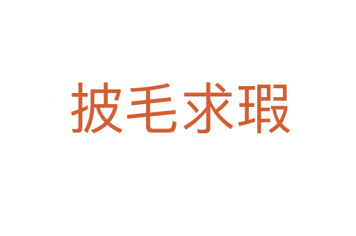 披毛求瑕