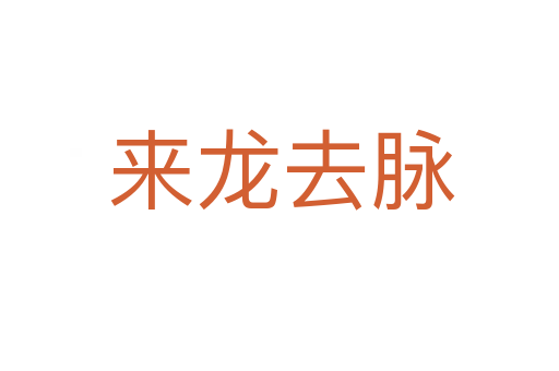 来龙去脉