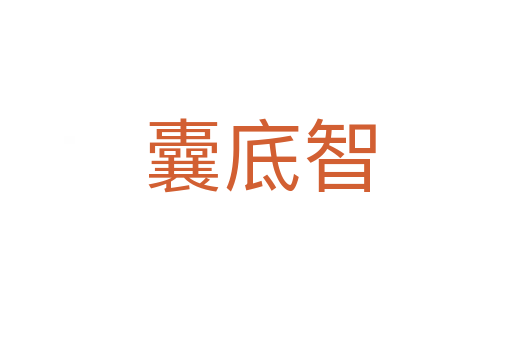 囊底智