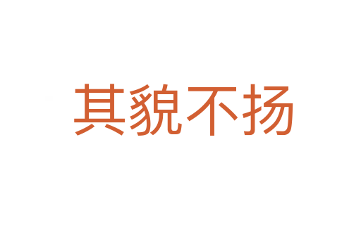 其貌不扬
