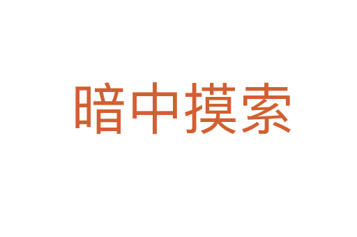 暗中摸索