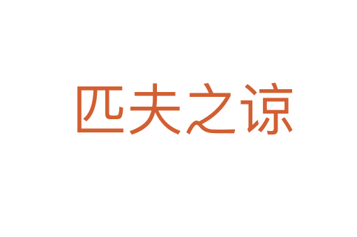 匹夫之谅