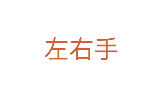 左右手