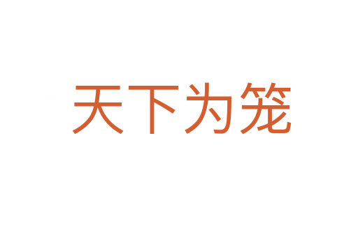 天下为笼