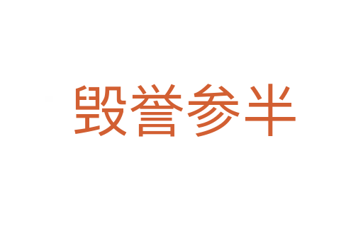 毁誉参半