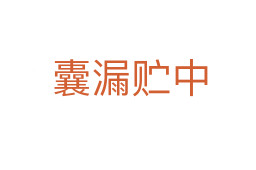 囊漏贮中