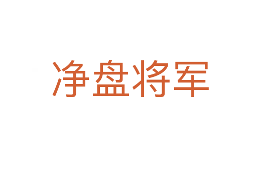 净盘将军