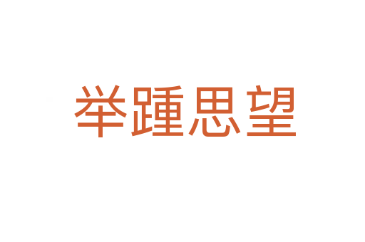 举踵思望