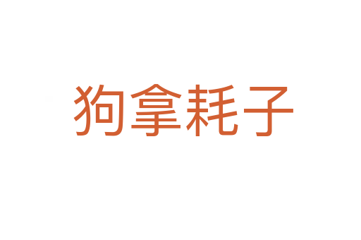 狗拿耗子