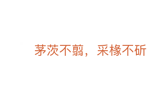 茅茨不翦,采椽不斫