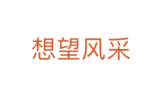 想望风采