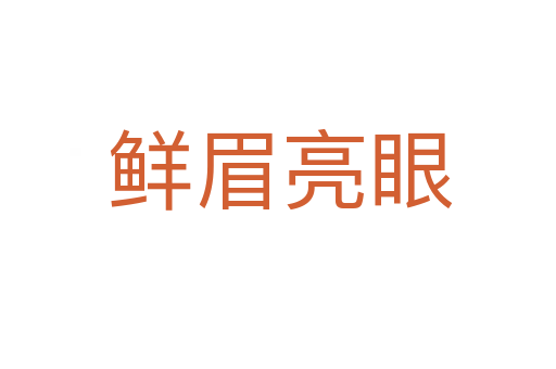 鲜眉亮眼