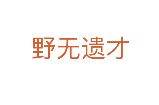 野无遗才