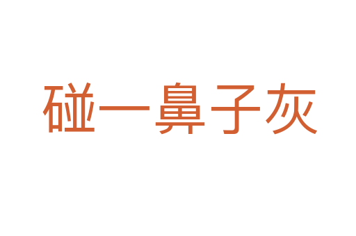 碰一鼻子灰