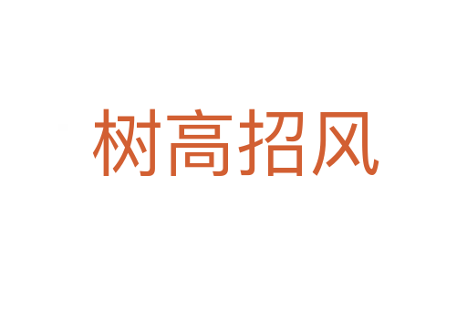 树高招风